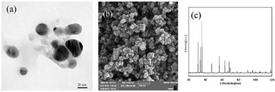 ZnO nanoparticles efficiently enhance drought tolerance in Dracocephalum kotschyi through altering physiological, biochemical and elemental contents